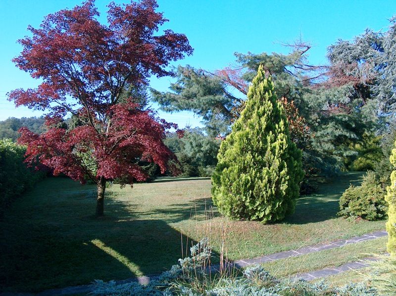 Lago d'Orta casa 200mq, 4 camere con giardino e garage