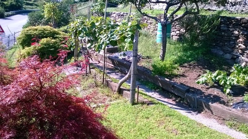 Casa indipendente posta su due livelli con giardino e panoramica vista lago a Fondotoce