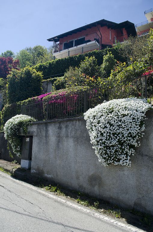 Alture Stresa villa vista lago 300mq con giardino