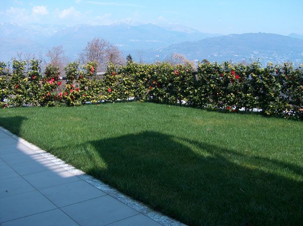 Baveno appartamento vista lago con garage e giardino AA1157