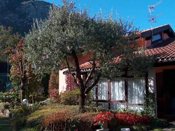 Baveno casa indipendente vista lago con giardino e garage